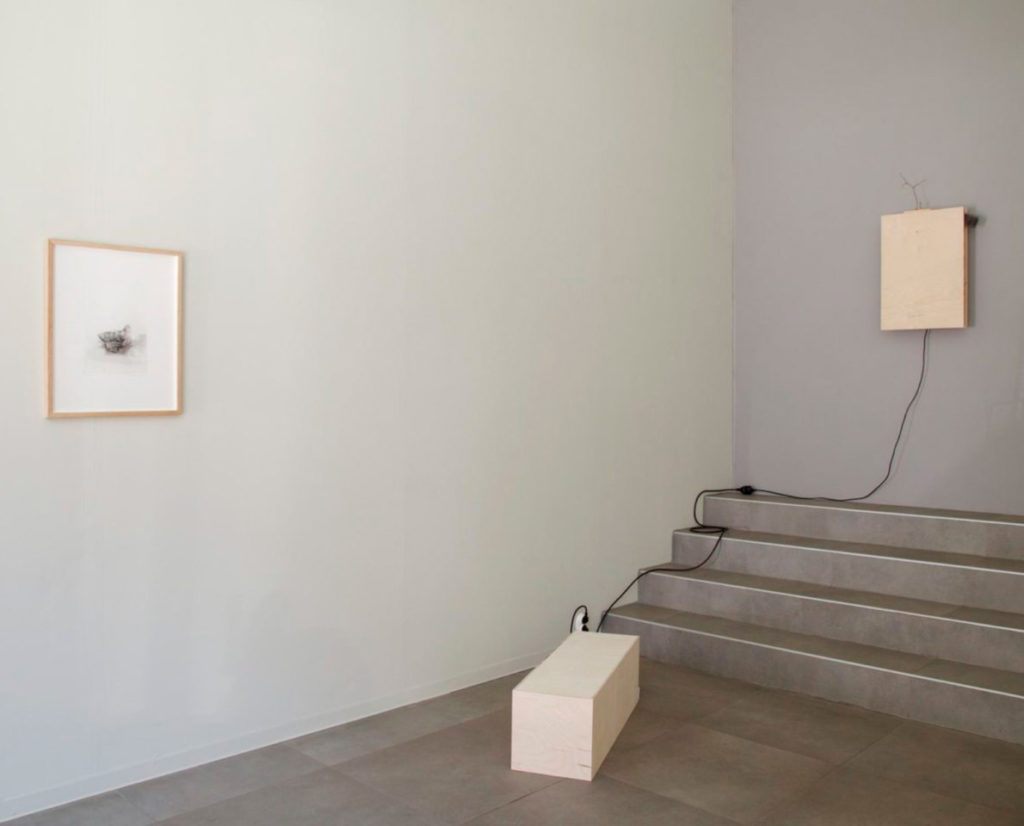17.5.–9.6.2019
“An Autumn Hike With Her” combines traditional graphics, photography and sculptures with movement and performativity.