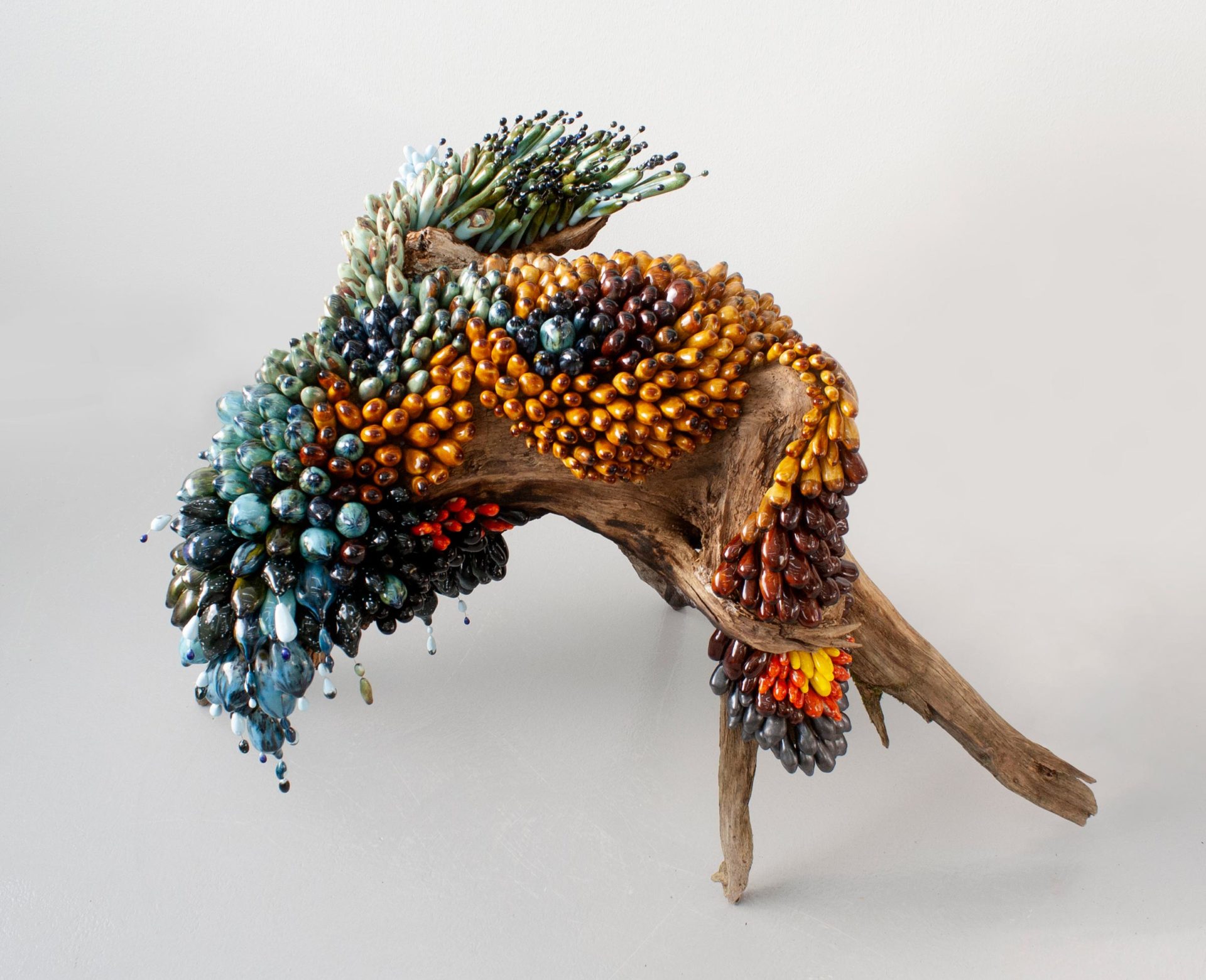 matias-liimatainen-symbiosis