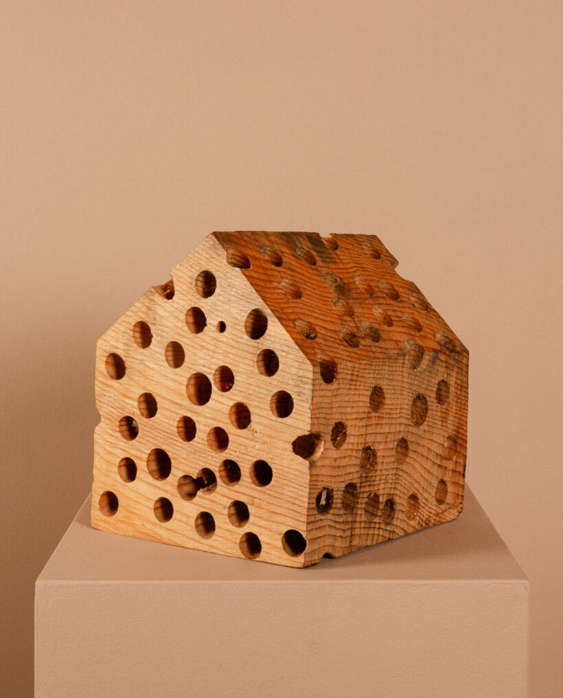 pasikarjula_unique_wooden_sculpture_lokalhelsinki2025